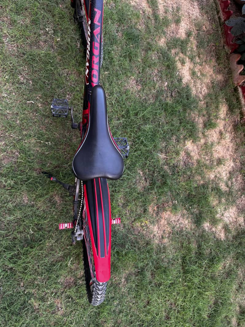 cycle (MTB) 14