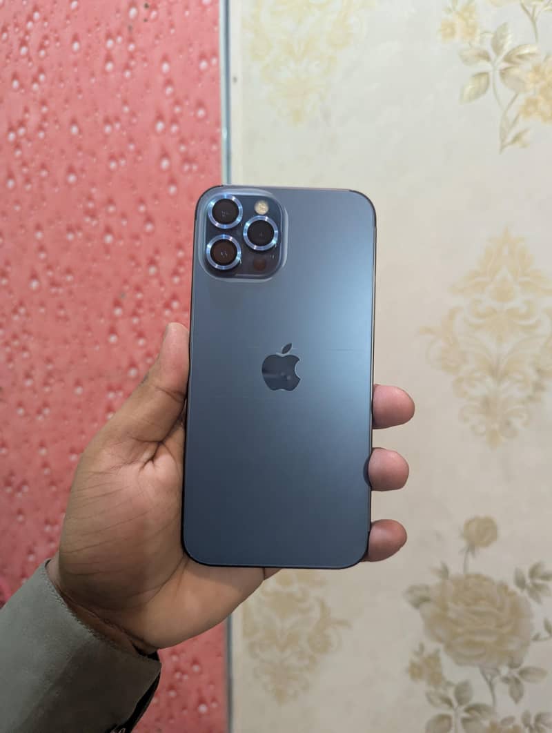 12 pro max 6