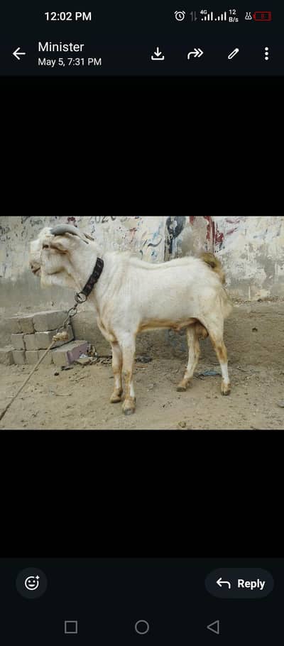 qurbani 2026