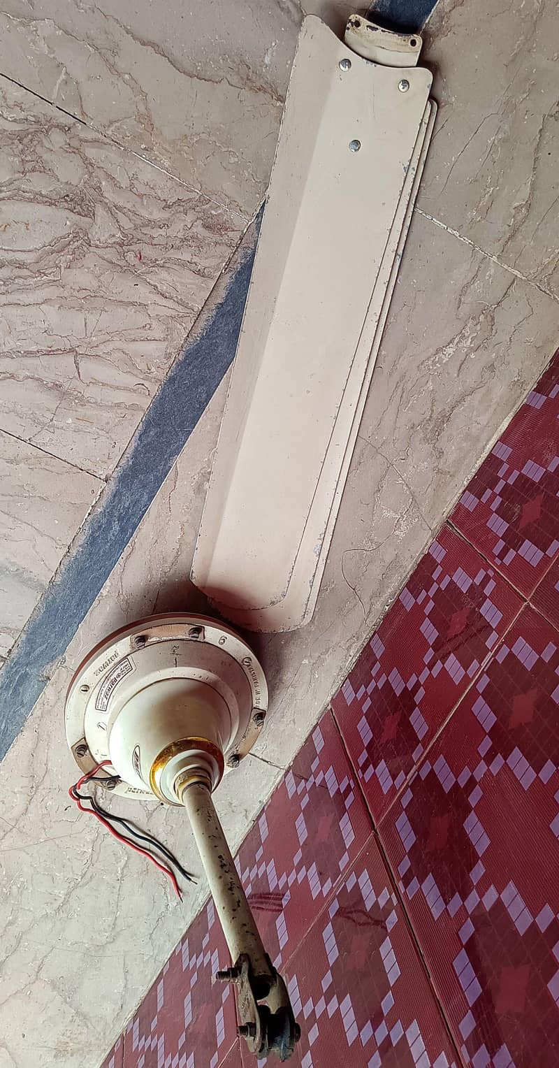 ceiling fan 1