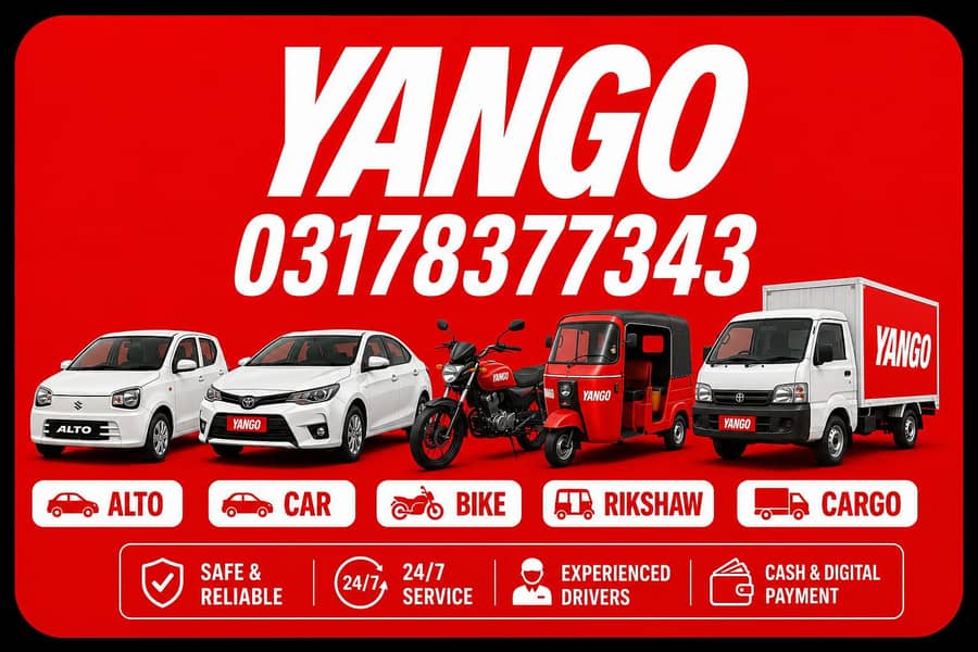 Yango Office 0
