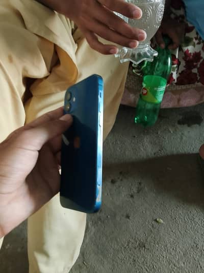 i phone12