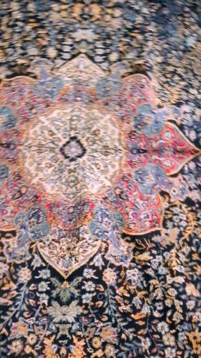 Large Premium Carpet 16x13 Ft for Sale