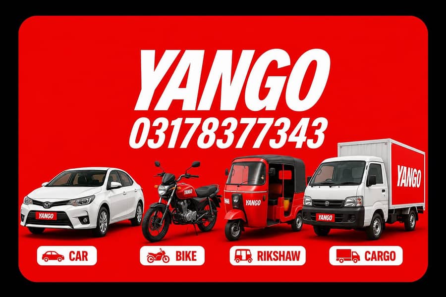 Yango Office 1