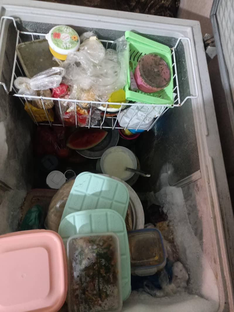 D freezer 1