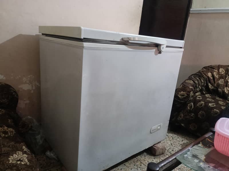 D freezer 4