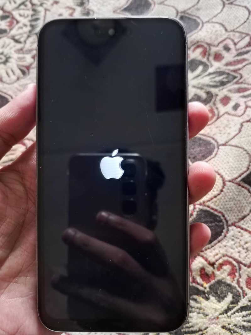 iphone 14 pro max 2