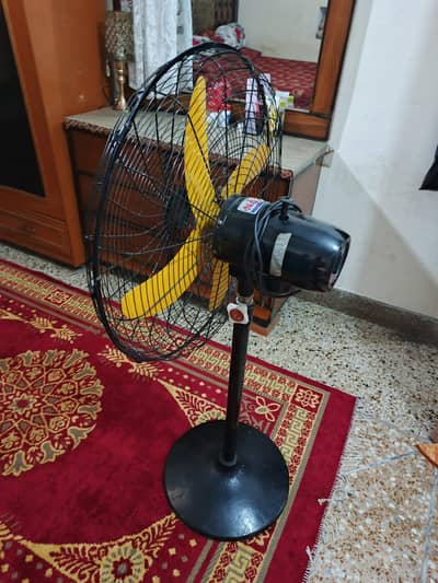 Pedestal Fans
