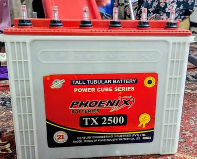 phoenix 12v 230Amp batteries