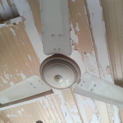 taimur fan copper winding 10 by 10 Fan 2