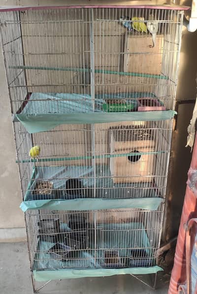 Cage for Sale Urgent. 10/10 Condition.