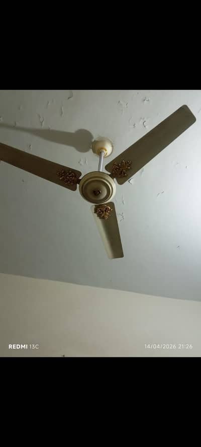 Royal, ceiling Fan