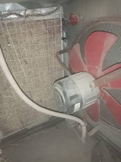 lahori cooler