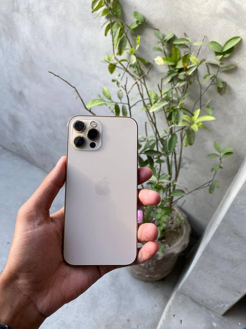 IPHONE 12 PRO 0