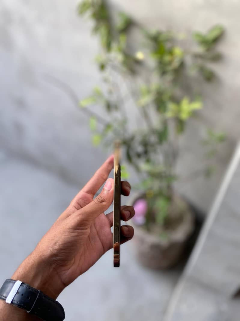 IPHONE 12 PRO 2