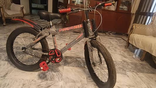 New Cycle