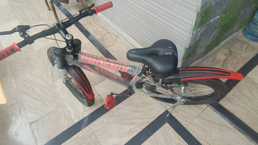 New Cycle 1