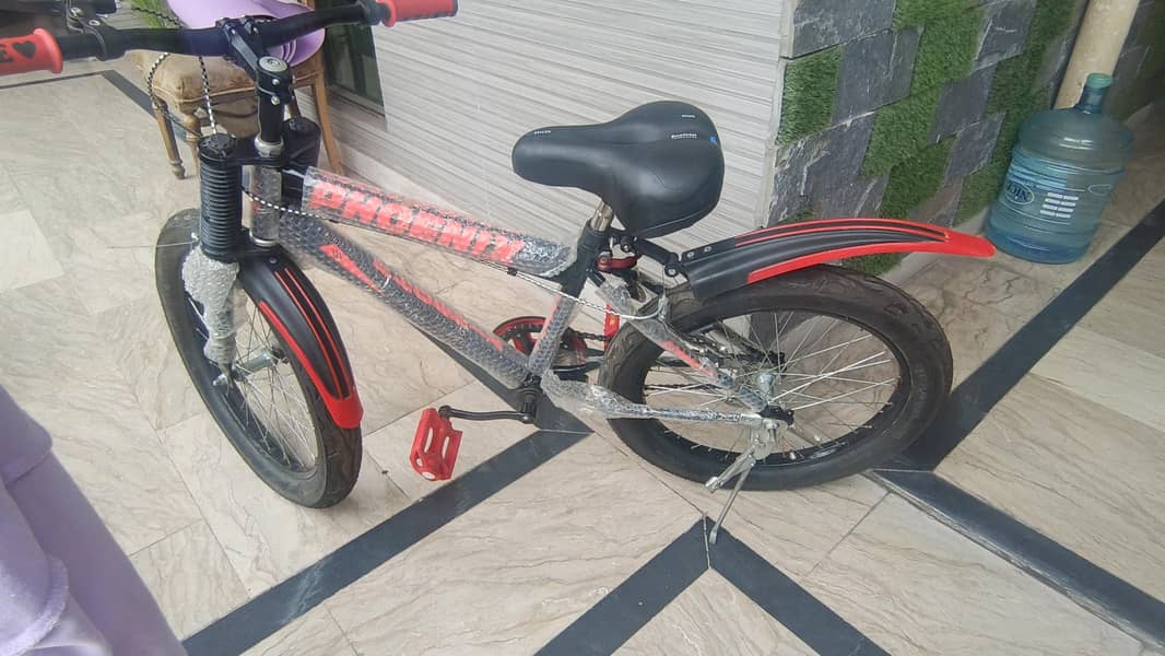 New Cycle 3