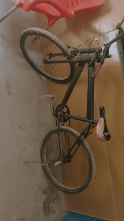 black cycle