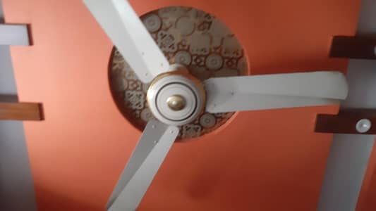 2 Fan for sell