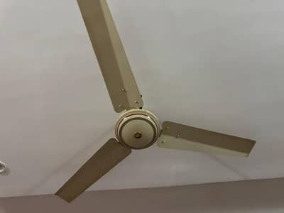 2عدد پنکھے نیو   فاسیل