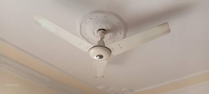 4 Royal Ceiling Fans for Sale – Working Perfect – Good Condition