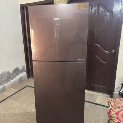 Haier DC Refrigerator