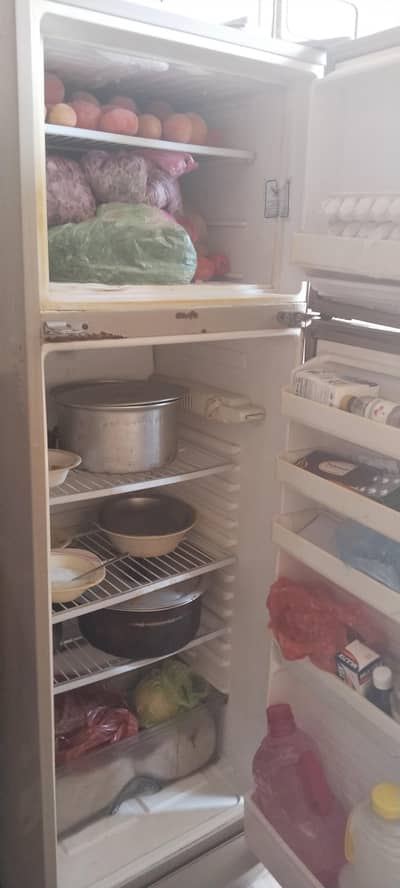 DownLance Fridge