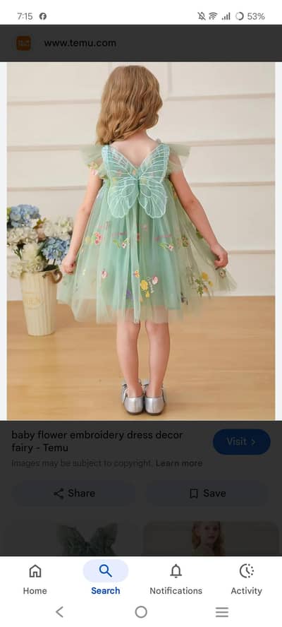 baby girl net frok with embroidery