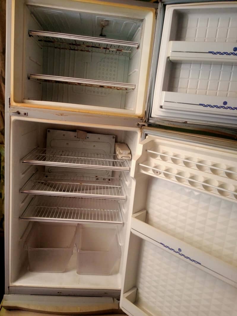 fridge 1