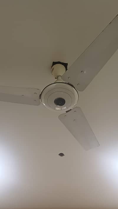 GFC Ceiling Fan