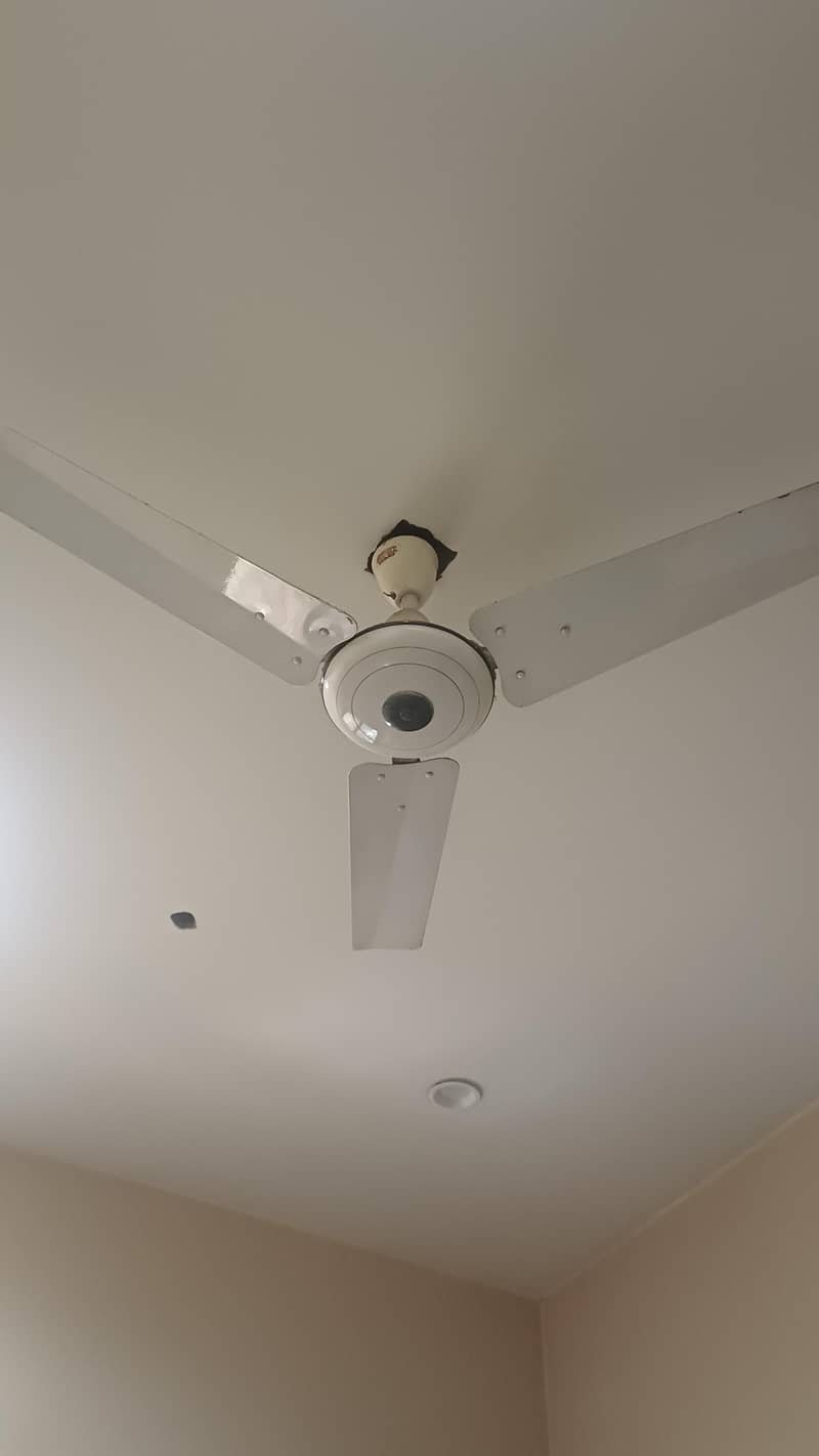 GFC Ceiling Fan 1