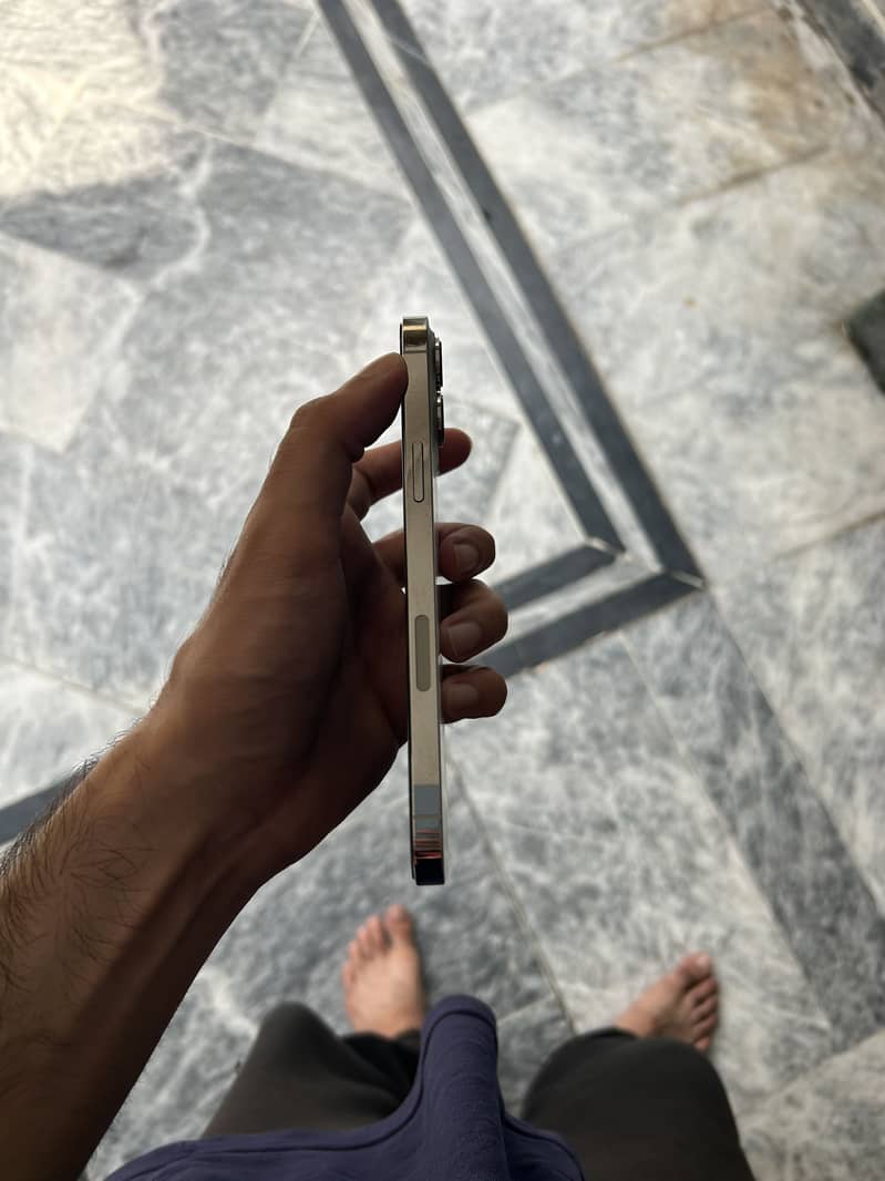 IPHONE 13 Pro Max 1
