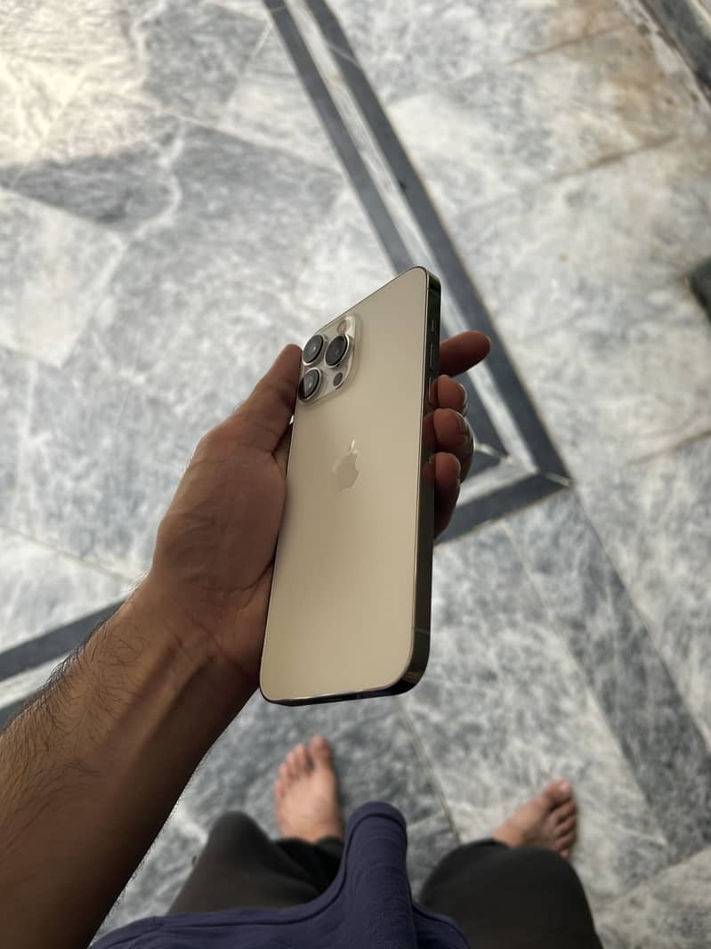 IPHONE 13 Pro Max 2
