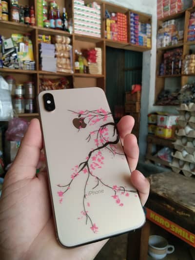 iPhone Xs Max Pta Approved