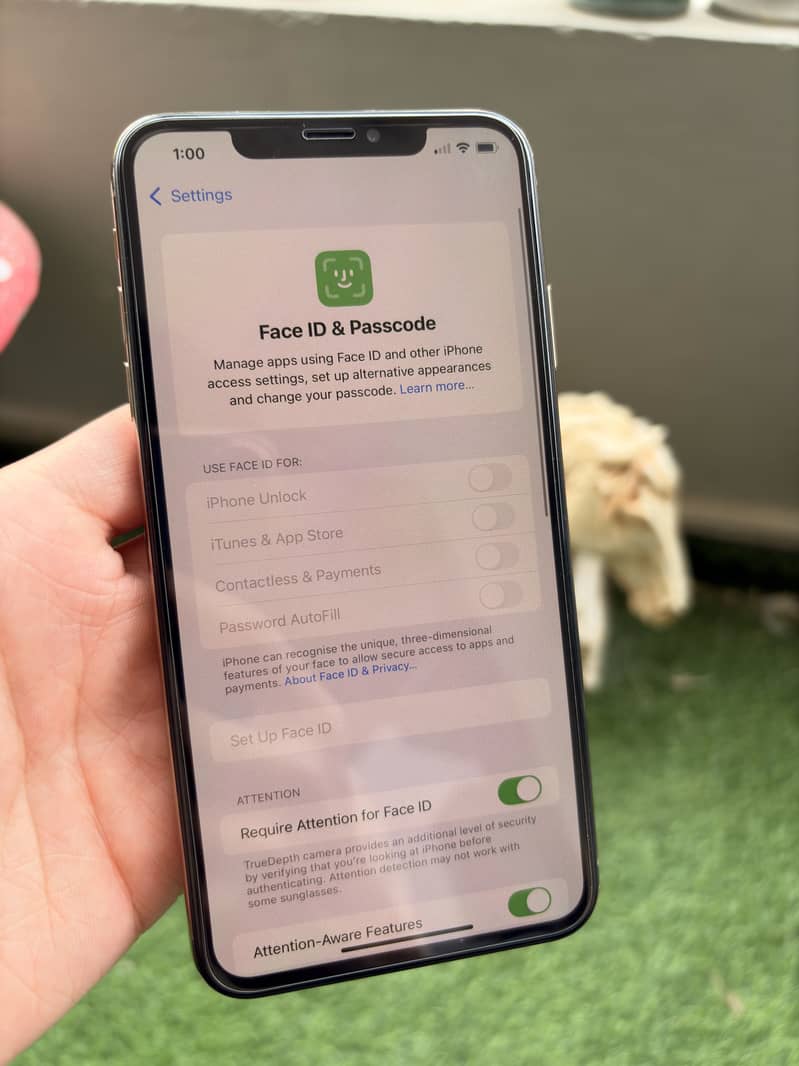 iphone xs max 10