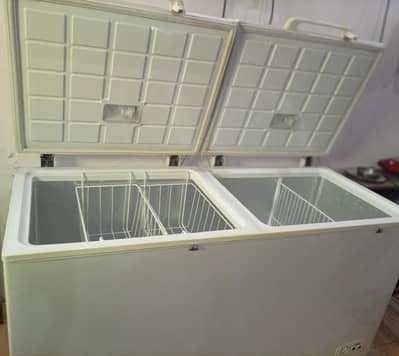 2 Door Used Freezer in Good Condition