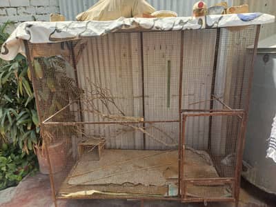 Iron cage