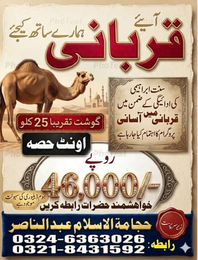 camel and cow hisa unth gai