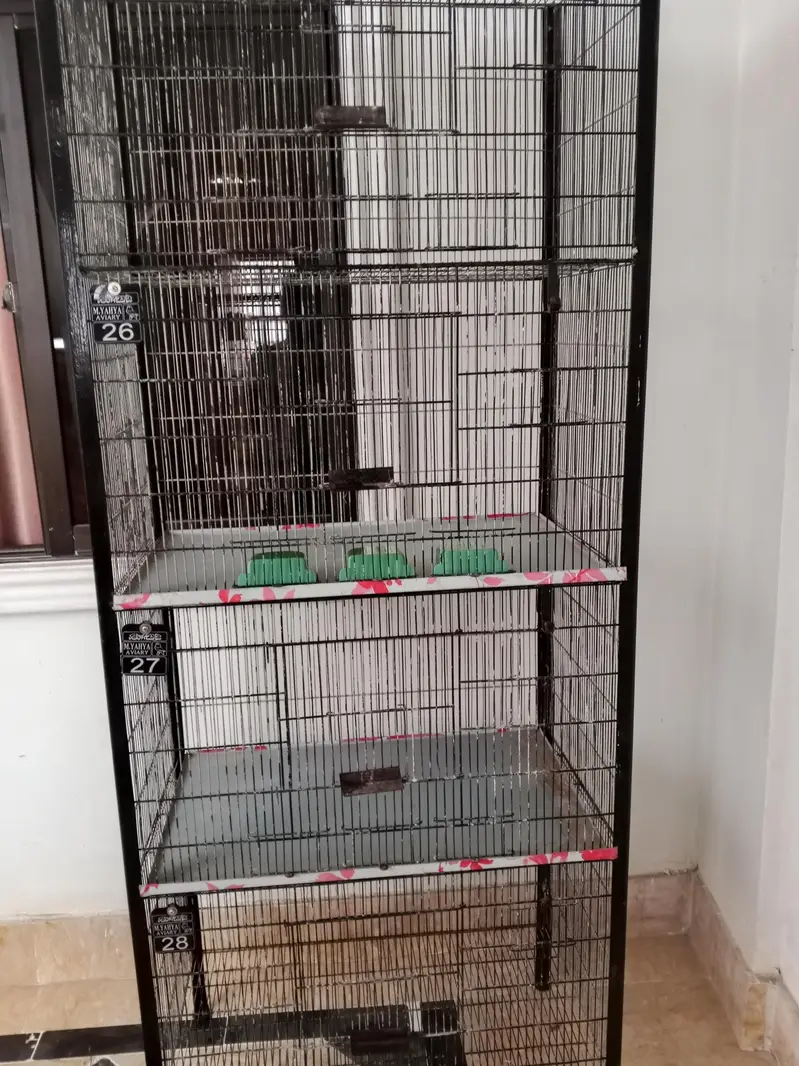birds cage