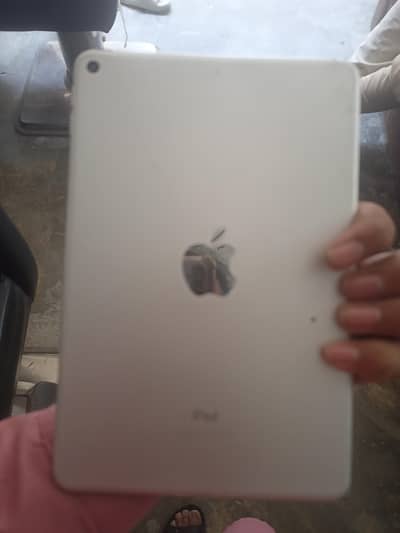 ipadmini 5