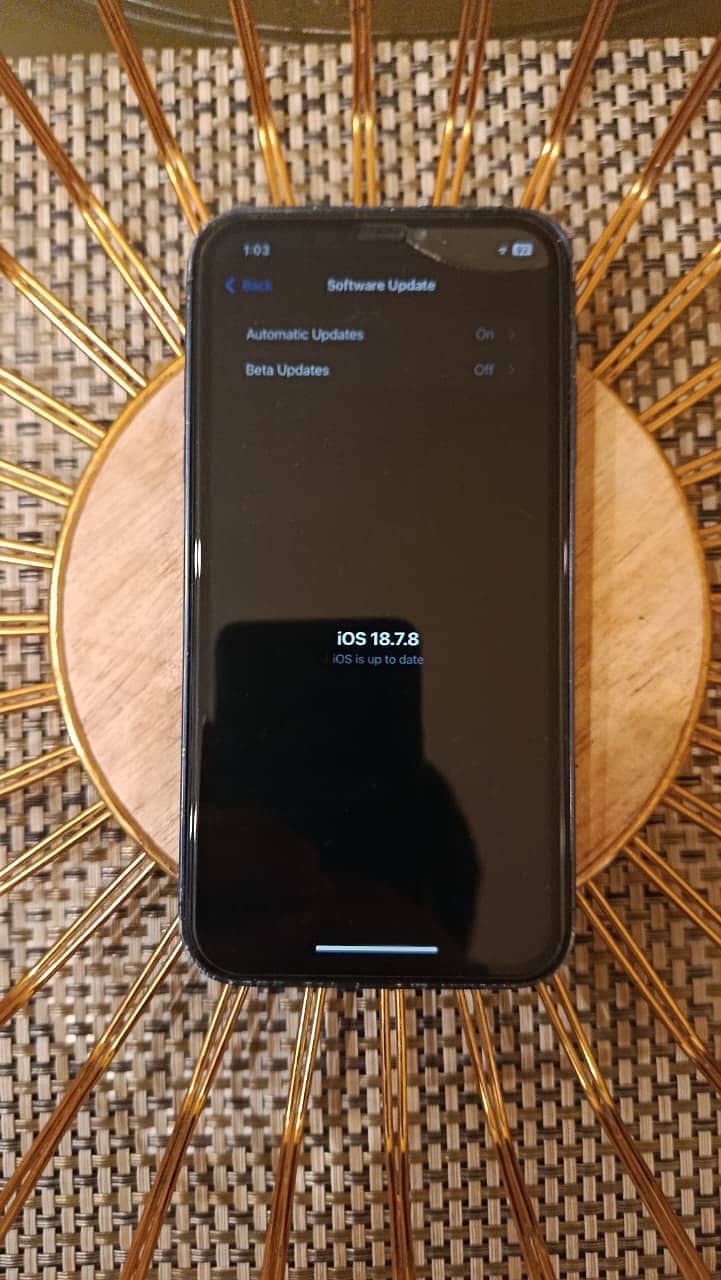 iPhone XR converted 12