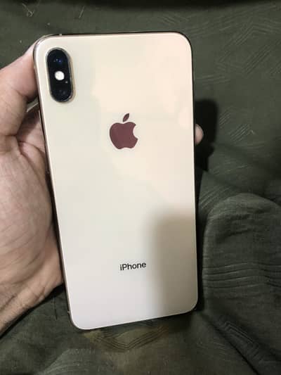 XS max dual physical pta approval ha