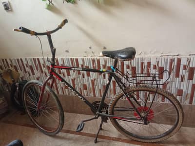 phonex bicycle