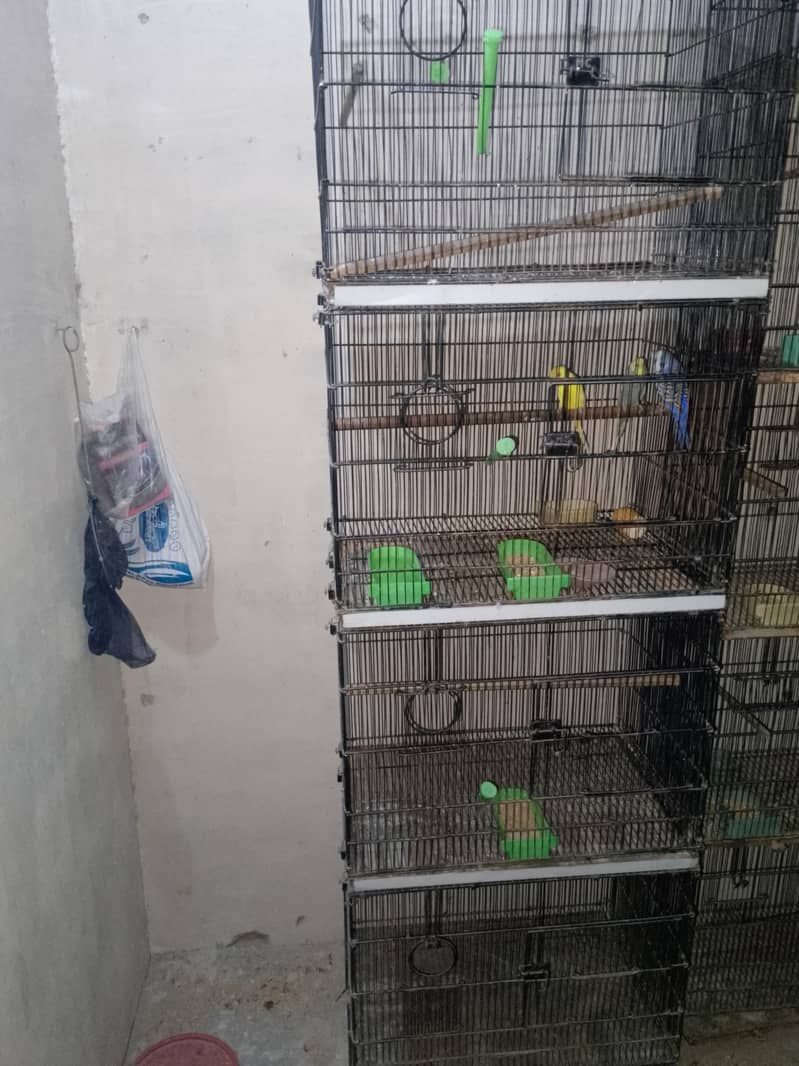 4 portion cage 0