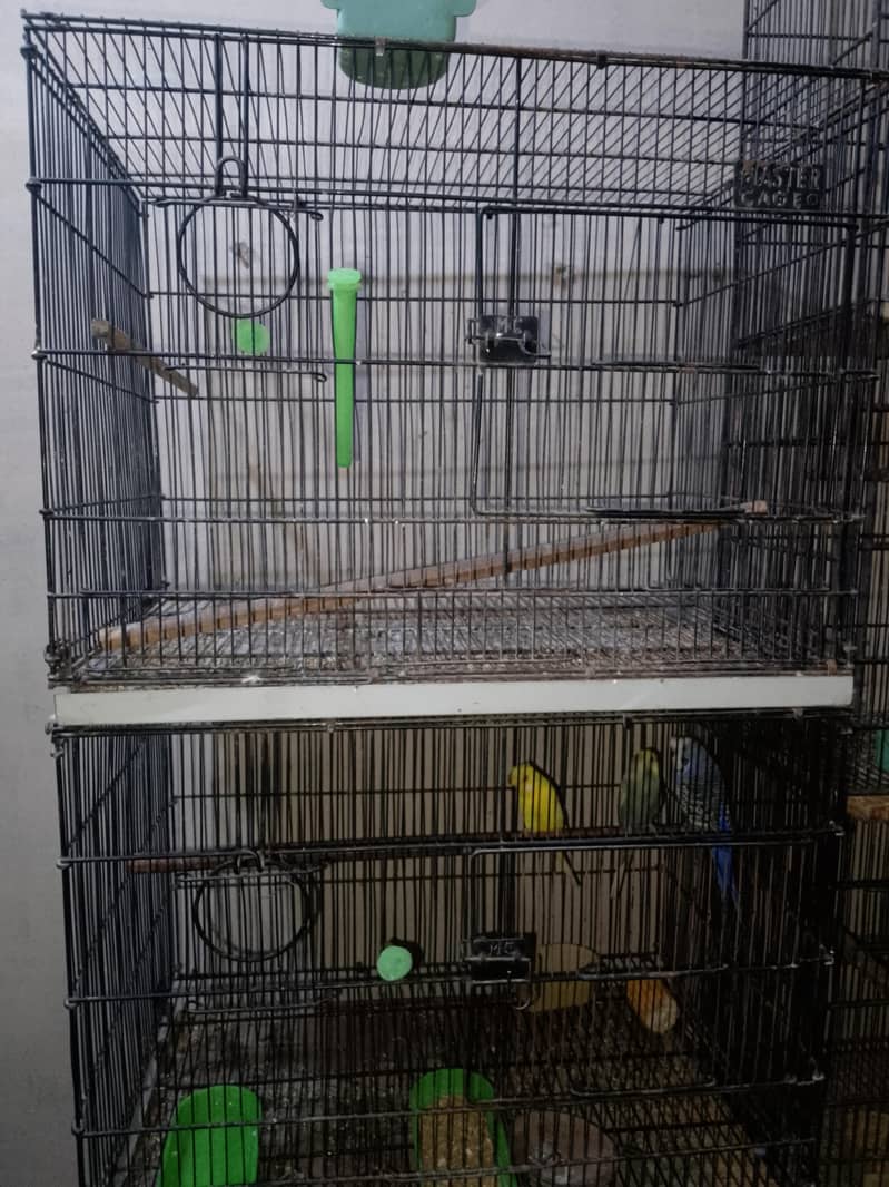 4 portion cage 1