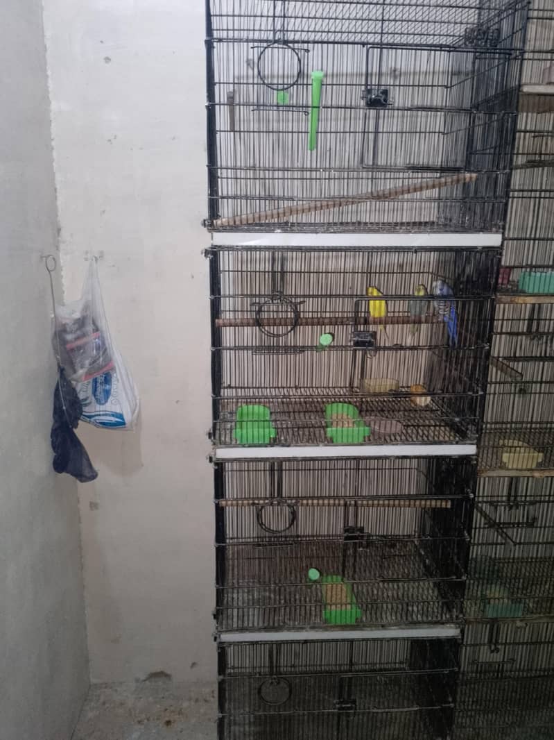 4 portion cage 2