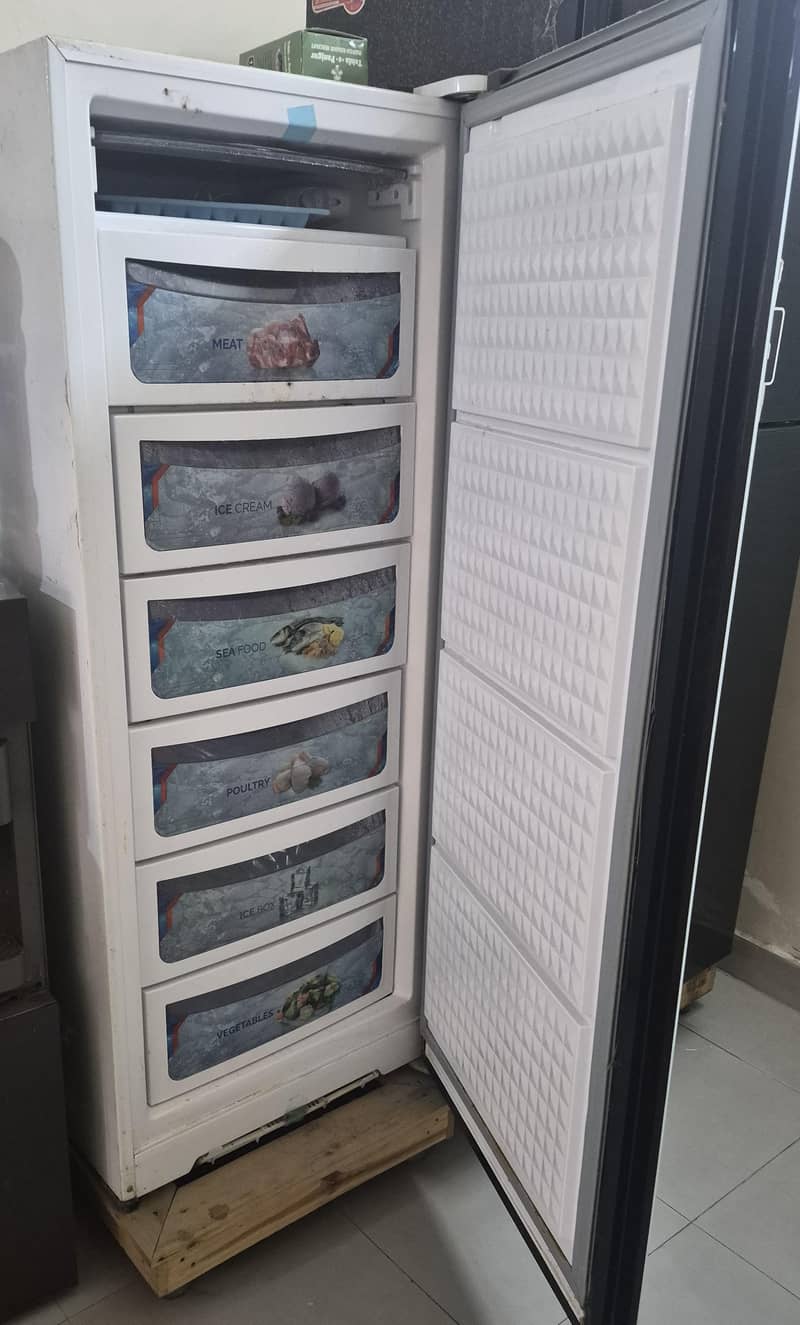 verticle freezer 1