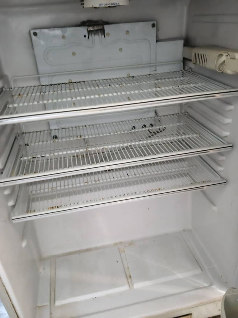 Full Size Fridge 2