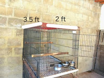 Raw parrots breeding cages